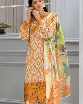 Naraanji β Embrace the Elegance of Orange