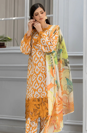 Naraanji – Embrace the Elegance of Orange