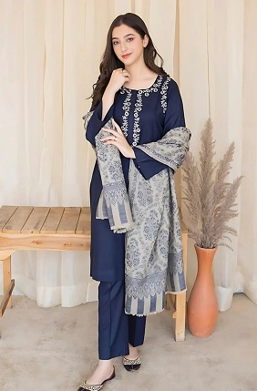 WhatsApp Image 2025-11-26 at 4.57.47 PM Β Β 3-Piece Dhanak Embroidered Suit β By Binveer